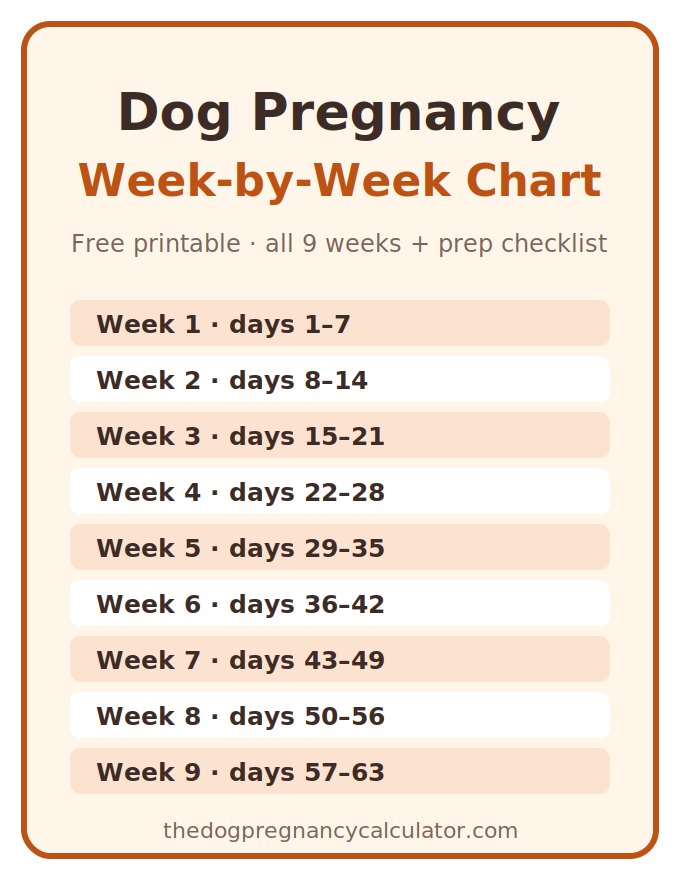 Cover of the free printable dog pregnancy week-by-week chart PDF showing the nine-week timeline